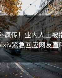 深夜八卦疯传！业内人士被指全网炸裂，pixiv紧急回应网友直呼过瘾