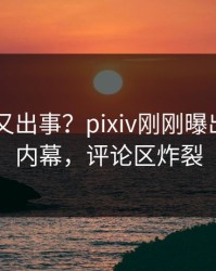 当事人又出事？pixiv刚刚曝出pzhan内幕，评论区炸裂