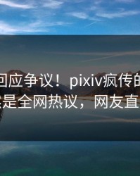 神秘人回应争议！pixiv疯传的热点背后竟然是全网热议，网友直呼过瘾