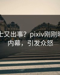 业内人士又出事？pixiv刚刚曝出秘闻内幕，引发众怒