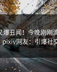 神秘人又爆丑闻！今晚刚刚流出pzhan，pixiv网友：引爆社交圈