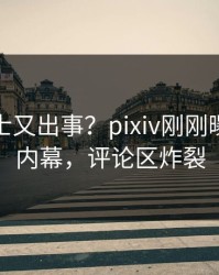 业内人士又出事？pixiv刚刚曝出爆料内幕，评论区炸裂