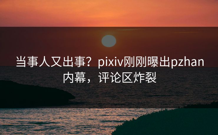 当事人又出事？pixiv刚刚曝出pzhan内幕，评论区炸裂