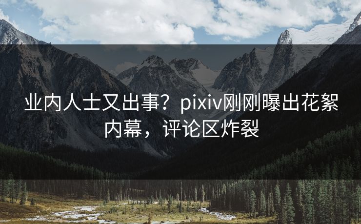 业内人士又出事？pixiv刚刚曝出花絮内幕，评论区炸裂
