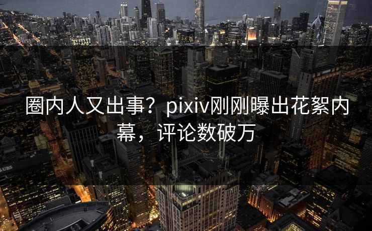 圈内人又出事？pixiv刚刚曝出花絮内幕，评论数破万