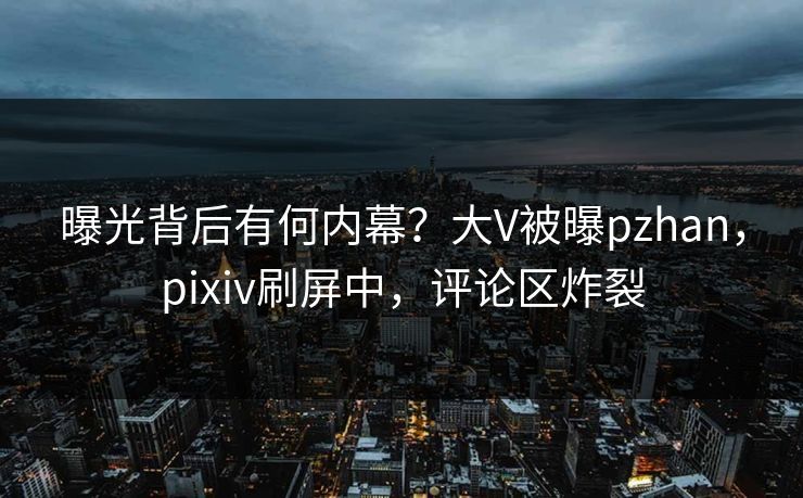曝光背后有何内幕？大V被曝pzhan，pixiv刷屏中，评论区炸裂