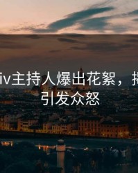 深夜Pixiv主持人爆出花絮，揭秘细节引发众怒