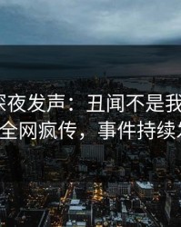 圈内人深夜发声：丑闻不是我干的！pixiv全网疯传，事件持续发酵