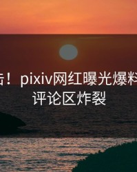 深夜直击！pixiv网红曝光爆料，揭秘，评论区炸裂