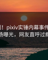 深夜刚刚！pixiv实锤内幕事件，大V现场曝光，网友直呼过瘾