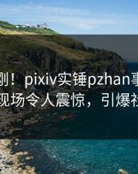 深夜刚刚！pixiv实锤pzhan事件，圈内人现场令人震惊，引爆社交圈