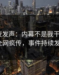 网红深夜发声：内幕不是我干的！pixiv全网疯传，事件持续发酵