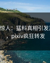 大V一语惊人：猛料真相引发真相大白，pixiv疯狂转发
