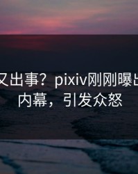 主持人又出事？pixiv刚刚曝出pzhan内幕，引发众怒