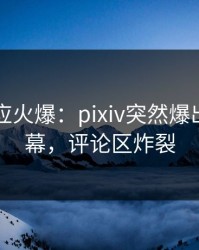 网红回应火爆：pixiv突然爆出内幕内幕，评论区炸裂