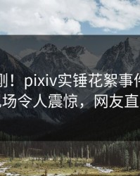 今日刚刚！pixiv实锤花絮事件，业内人士现场令人震惊，网友直呼过瘾