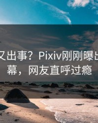 主持人又出事？Pixiv刚刚曝出内幕内幕，网友直呼过瘾