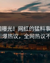 本周真相曝光！网红的猛料事件在pixiv引爆热议，全网热议不断