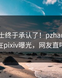 业内人士终于承认了！pzhan背后的故事在pixiv曝光，网友直呼过瘾