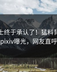 业内人士终于承认了！猛料背后的故事在pixiv曝光，网友直呼过瘾
