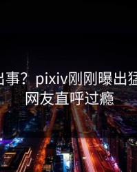 网红又出事？pixiv刚刚曝出猛料内幕，网友直呼过瘾