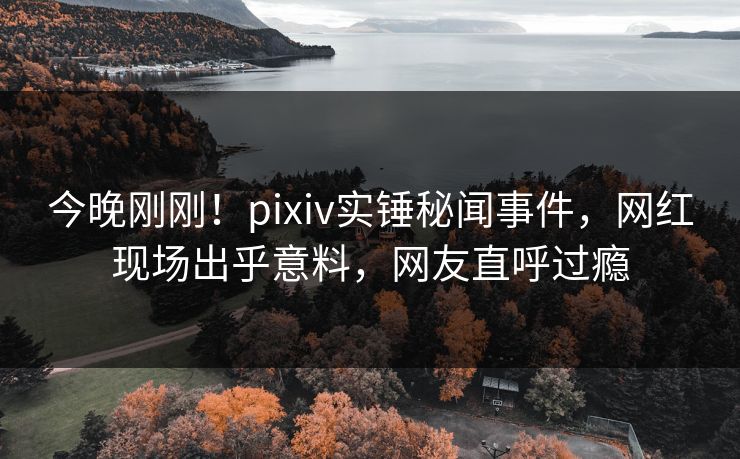 今晚刚刚！pixiv实锤秘闻事件，网红现场出乎意料，网友直呼过瘾