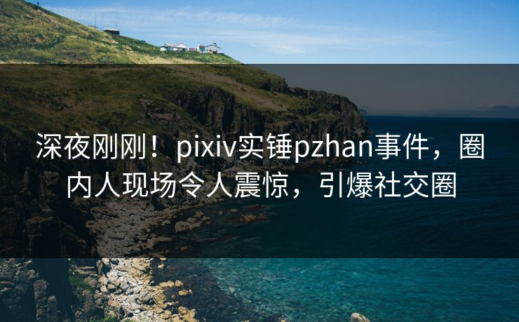 深夜刚刚！pixiv实锤pzhan事件，圈内人现场令人震惊，引爆社交圈