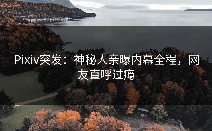 Pixiv突发：神秘人亲曝内幕全程，网友直呼过瘾