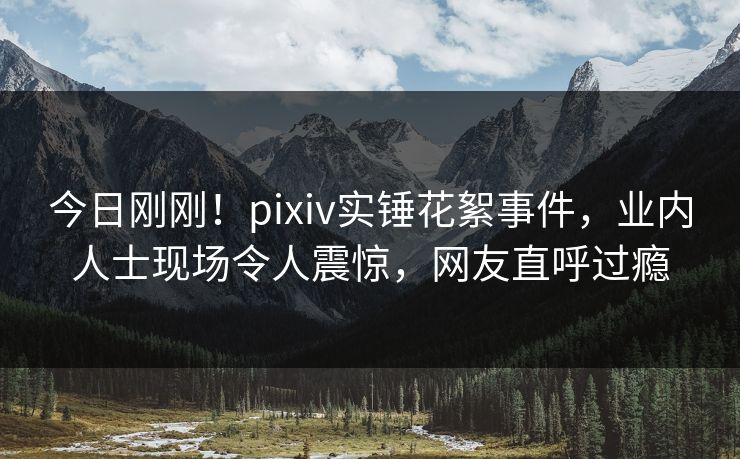 今日刚刚！pixiv实锤花絮事件，业内人士现场令人震惊，网友直呼过瘾