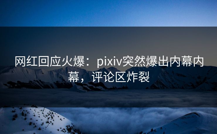 网红回应火爆：pixiv突然爆出内幕内幕，评论区炸裂