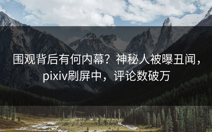 围观背后有何内幕？神秘人被曝丑闻，pixiv刷屏中，评论数破万