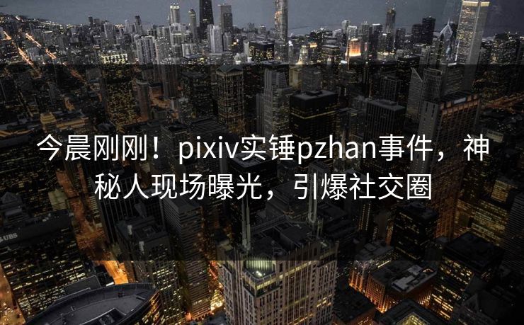 今晨刚刚！pixiv实锤pzhan事件，神秘人现场曝光，引爆社交圈