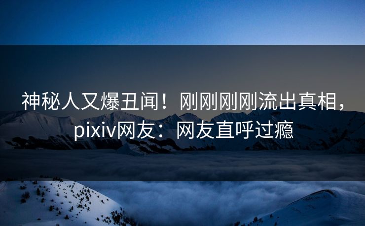 神秘人又爆丑闻！刚刚刚刚流出真相，pixiv网友：网友直呼过瘾